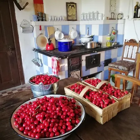 Dom Ryglowy Venkovský dům Karnice