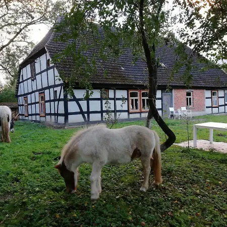 Dom Ryglowy Venkovský dům Karnice